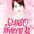 总裁的新婚罪妻免费阅读,甜蜜蜜宠溺之旅