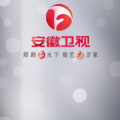 安徽卫视在线直播,精彩瞬间，尽在掌握